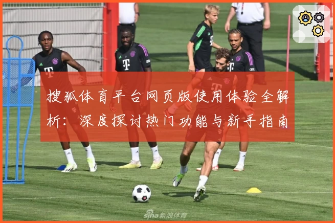 搜狐体育平台网页版使用体验全解析：深度探讨热门功能与新手指南