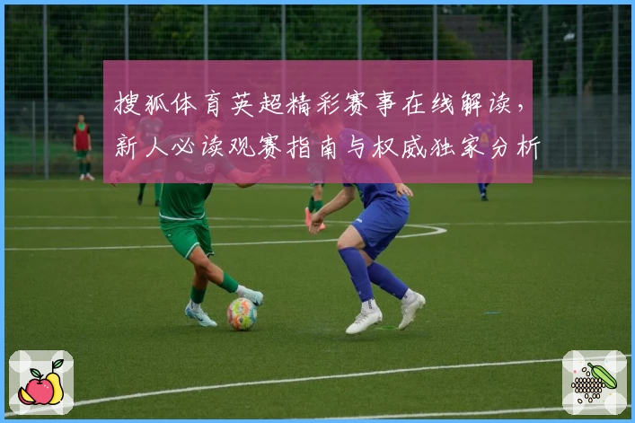 搜狐体育英超精彩赛事在线解读,新人必读观赛指南与权威独家分析
