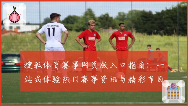 搜狐体育赛事网页版入口指南：一站式体验热门赛事资讯与精彩节目分析