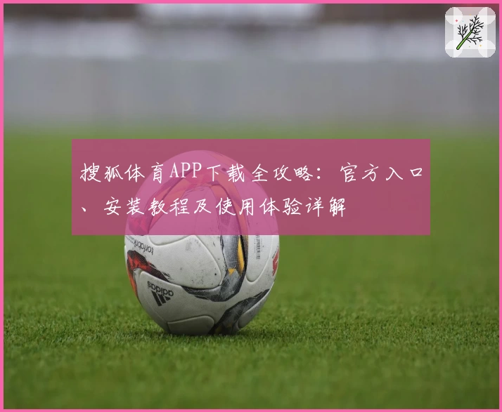 搜狐体育APP下载全攻略：官方入口、安装教程及使用体验详解