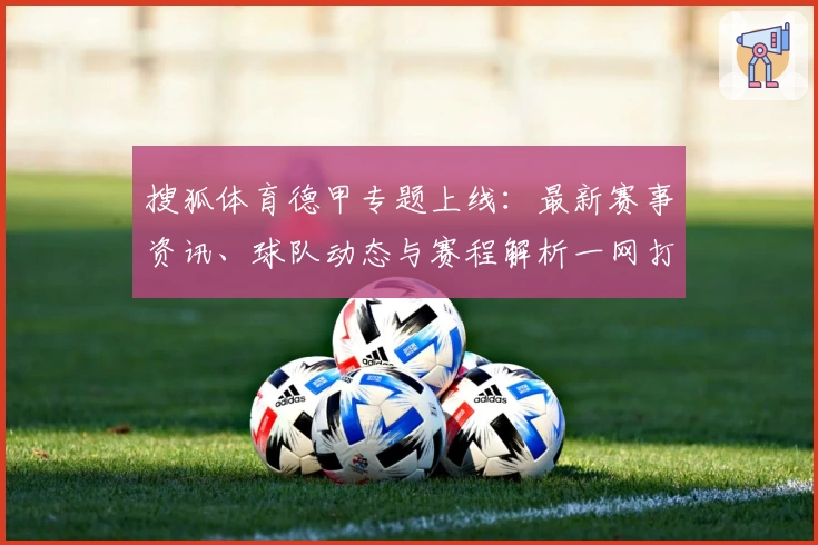 搜狐体育德甲专题上线：最新赛事资讯、球队动态与赛程解析一网打尽