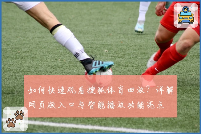 如何快速观看搜狐体育回放？详解网页版入口与智能播放功能亮点
