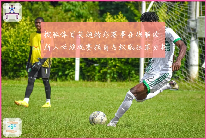 搜狐体育英超精彩赛事在线解读，新人必读观赛指南与权威独家分析